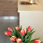 Mariposa شقة باردولينو