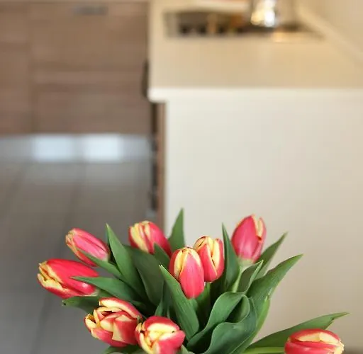 Mariposa Apartament Bardolino